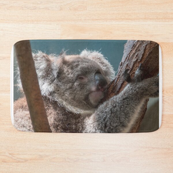 Item preview, Koala clinging to tree designed and sold by cdkphotos.