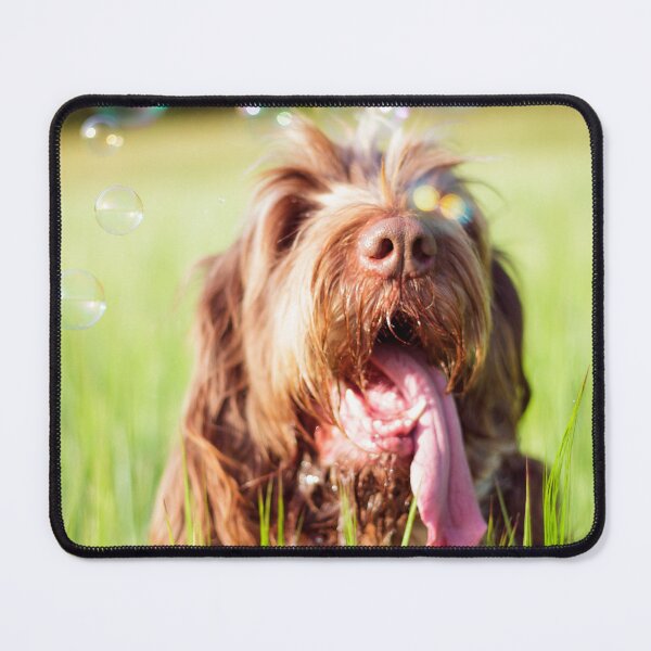 Item preview, Soap bubble Spinone designed and sold by FOLK ART FUSION.