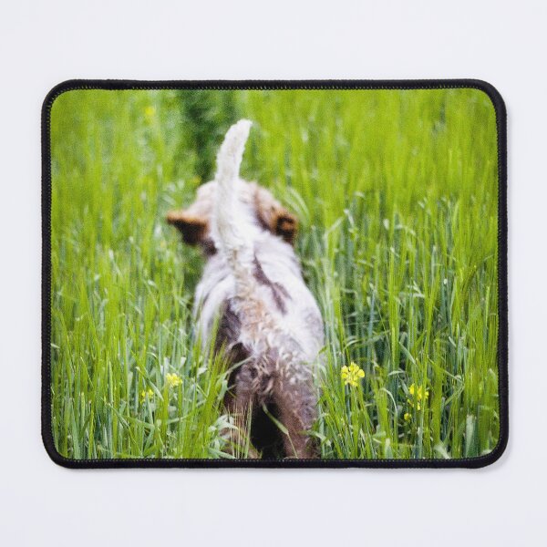 Item preview, Just trotting along Spinone designed and sold by FOLK ART FUSION by heidiannemorris.