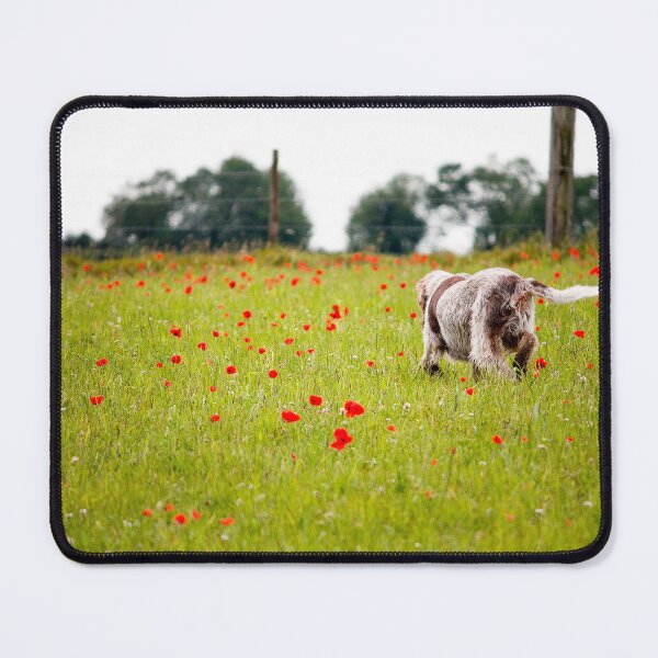 Item preview, Poppy hunting Spinone designed and sold by FOLK ART FUSION.