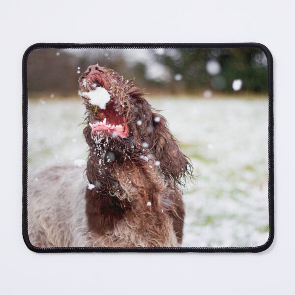 Item preview, Snow ball Spinone designed and sold by FOLK ART FUSION.