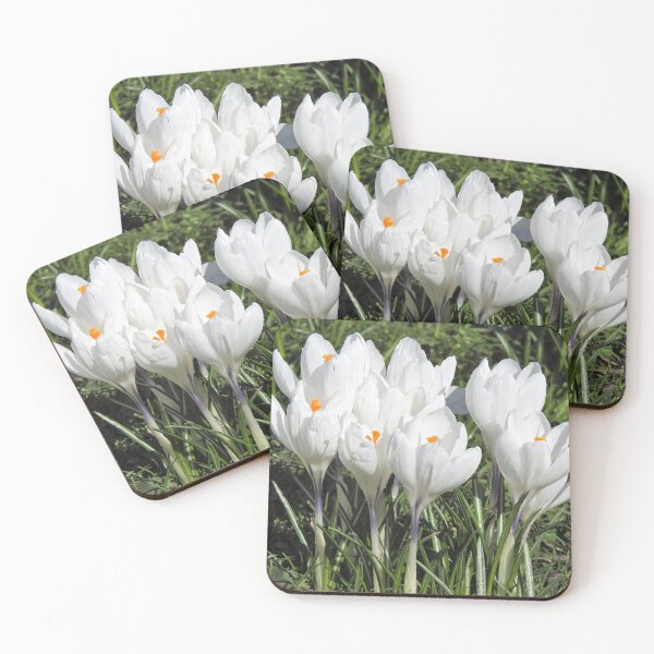 Item preview, White crocus designed and sold by TwistedClassics.