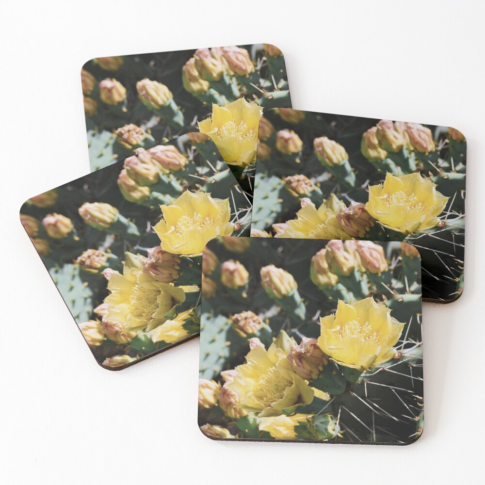 Item preview, Coasters (Set of 4) designed and sold by Reriginal.