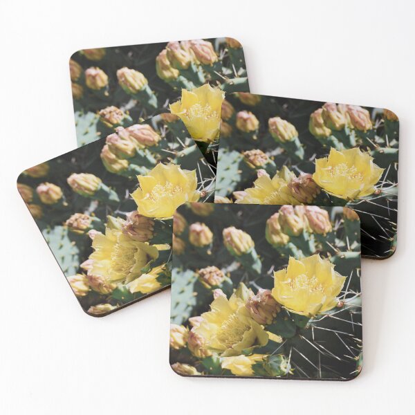 Aperçu de l'œuvre Fleurs de cactus créée et vendue par Tracy Engle.