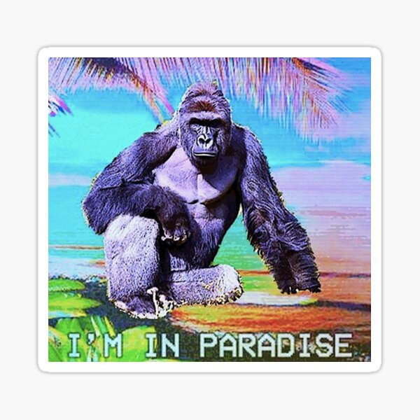 pardon my take harambe shirt