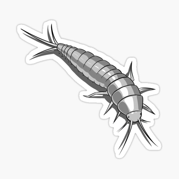 Download Silverfish Gifts & Merchandise | Redbubble