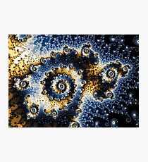 Seadragon Photographic Print