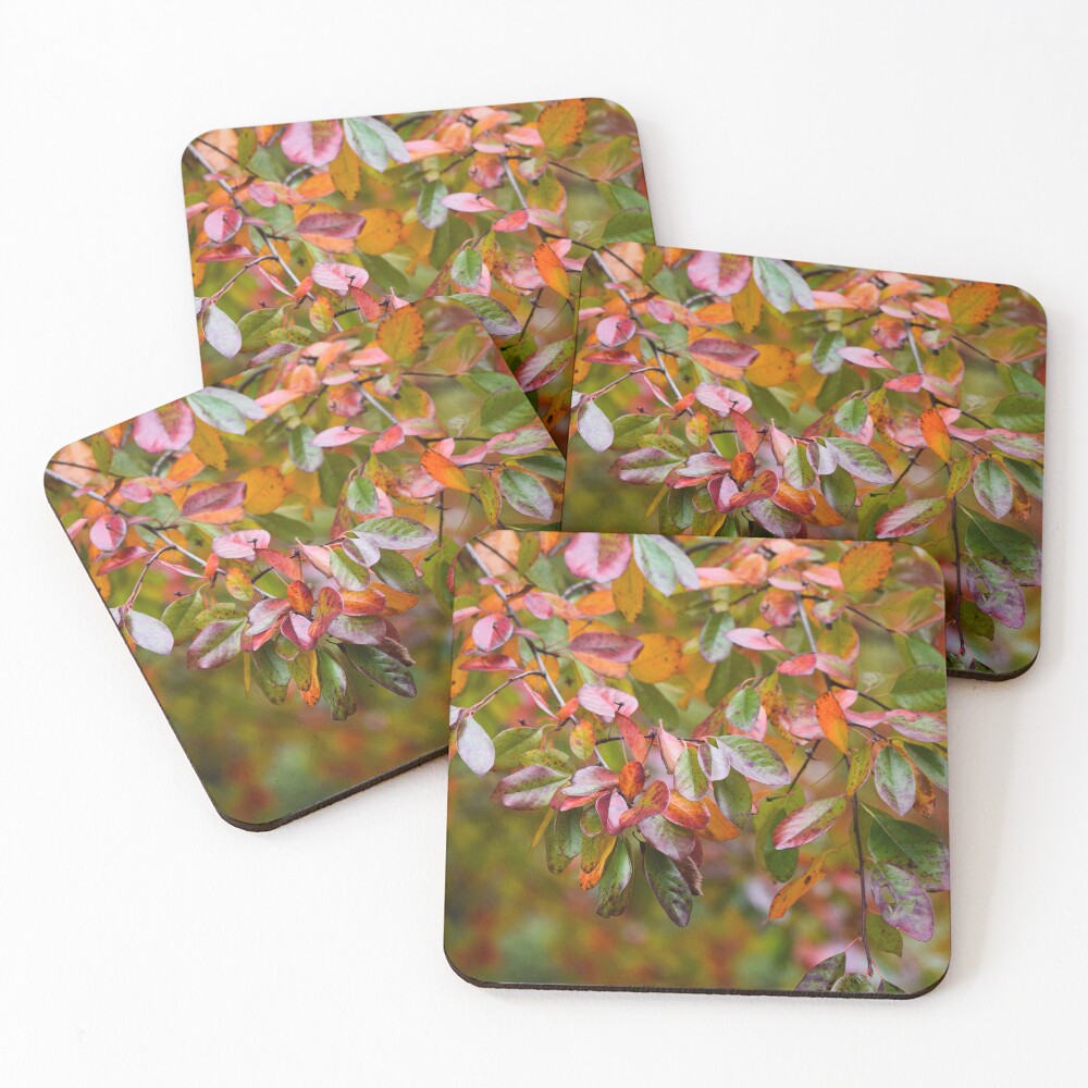 Item preview, Coasters (Set of 4) designed and sold by Reriginal.