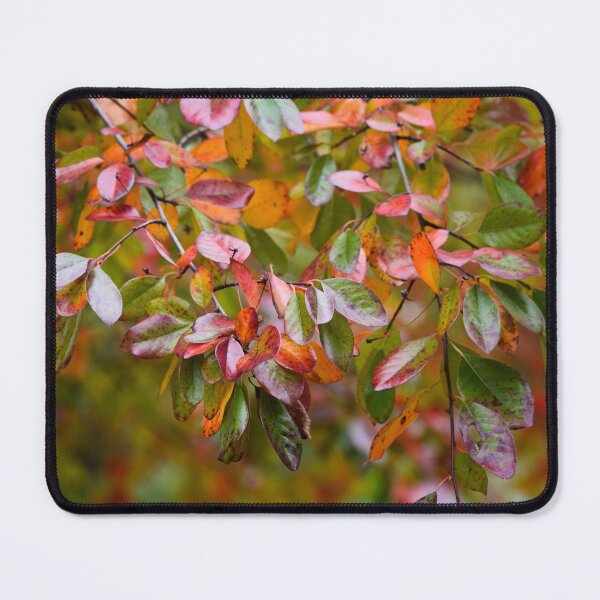 Item preview, Changing designed and sold by Tracy Engle.