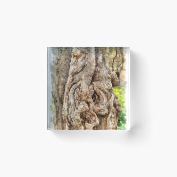 Item preview, Gnarled trunk designed and sold by Giuseppe Cocco.