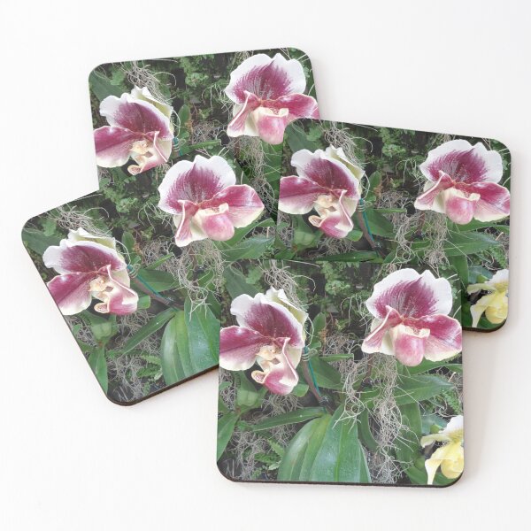 Item preview, Orchids designed and sold by GardenArtworks.