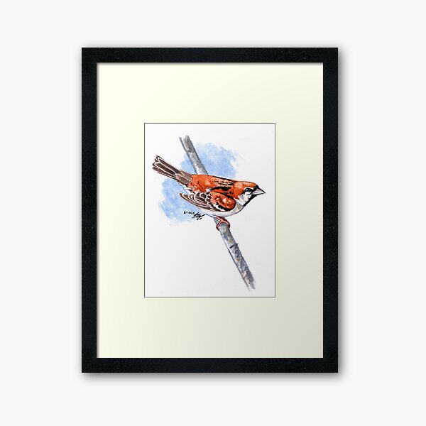 Russet Sparrow Framed Art Print