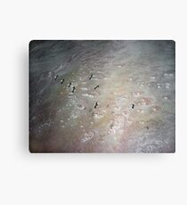salt lake Canvas Print