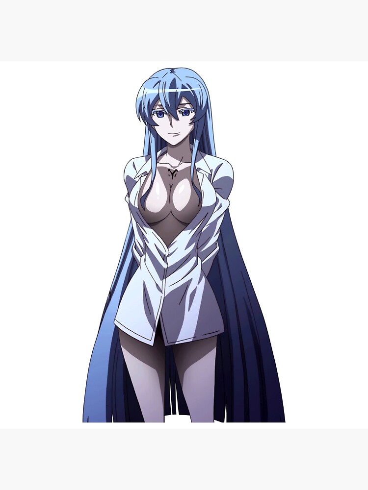 Akame Ga Kill: Esdeath Cosplay Inspiration