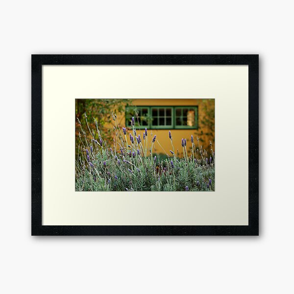 Lavender Cottage Framed Art Print
