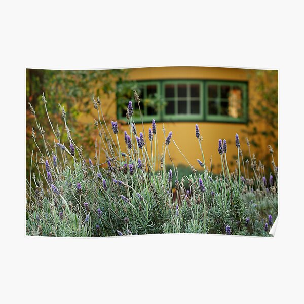 Lavender Cottage Poster