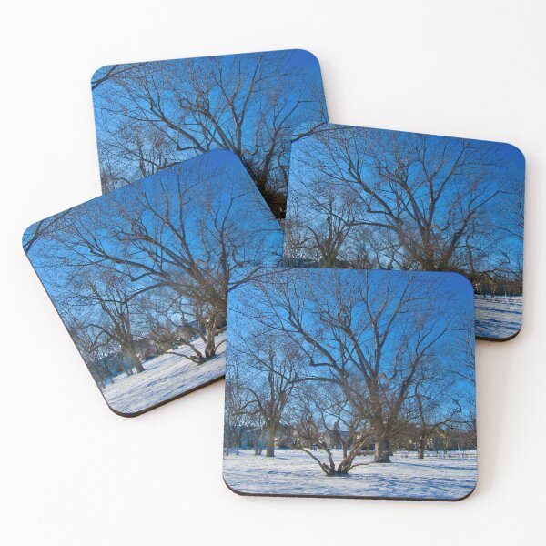 Item preview, Strathcona Park designed and sold by Shulie1.