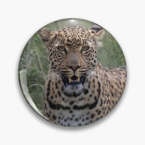 Item preview, Leopard in the wild of Africa Kruger National Park designed and sold by RonelBroderick.