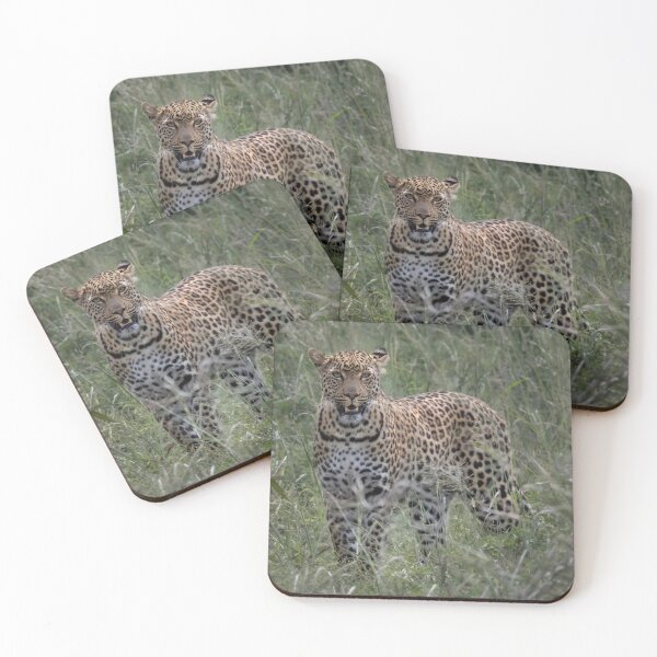 Item preview, Leopard in the wild of Africa Kruger National Park designed and sold by RonelBroderick.