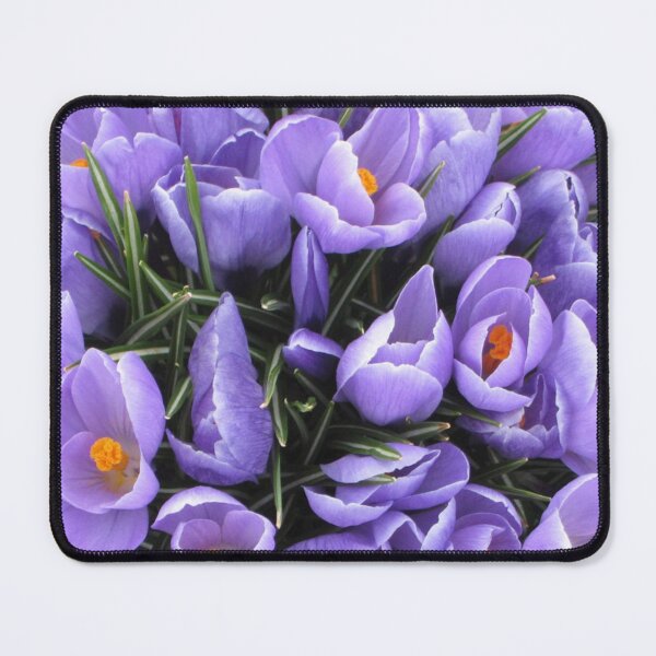 Item preview, Light Purple Crocus Flowers designed and sold by silviaol.