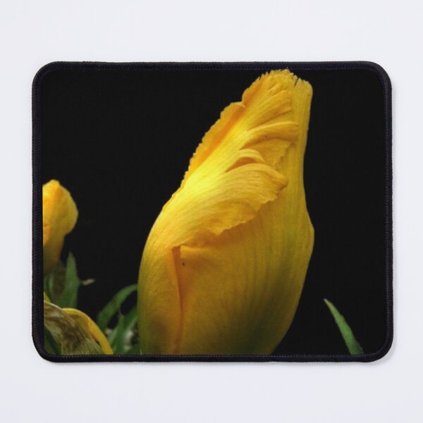 Item preview, Yellow Iris Bud on Black designed and sold by GladBlackLamb.
