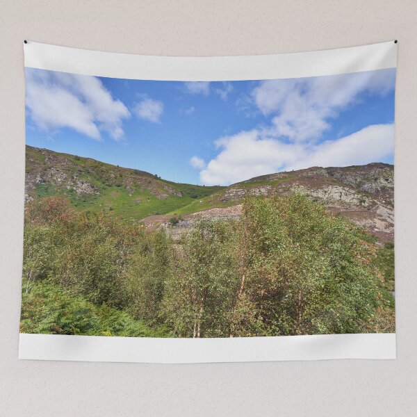 Item preview, Elan Valley Scenery, Mid Wales designed and sold by VnGphoto.