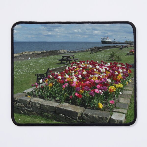 Item preview, Tulips on the Isle of Arran, Scotland designed and sold by icomeinpeace2.