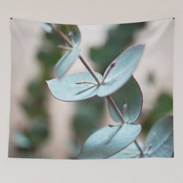 Item preview, Eucalyptus plant photo designed and sold by ziskreativ.