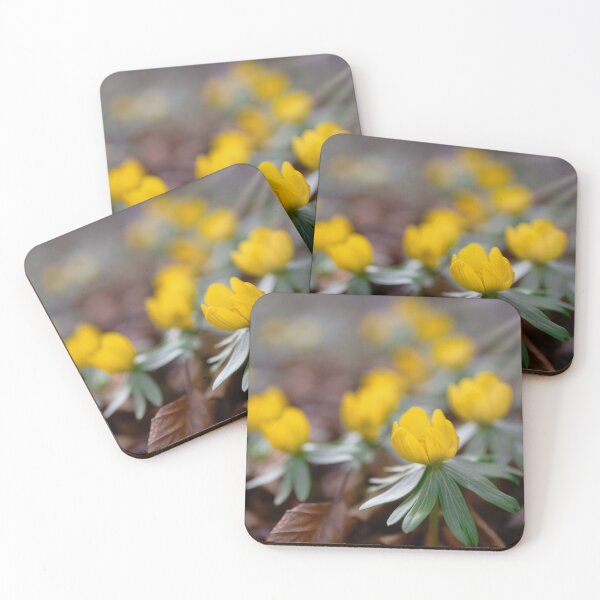 Item preview, Winter aconite - Eranthis hyemalis designed and sold by Kasia Design.