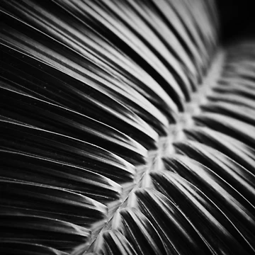Artwork thumbnail, Curved by Tracy Engle