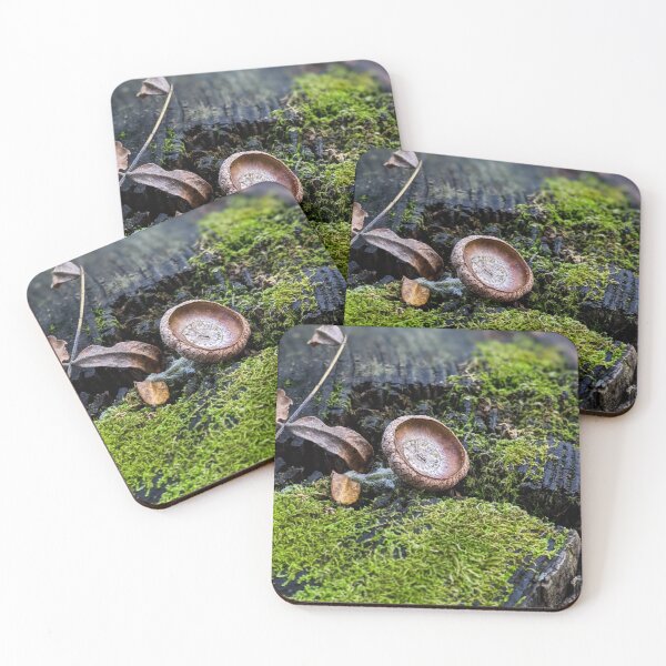 Item preview, Early Autumn designed and sold by Tracy Engle.