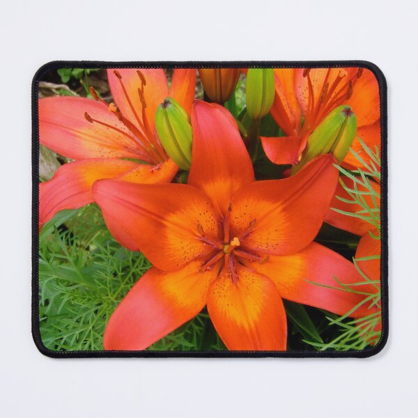 Item preview, Orange Lilies designed and sold by Shulie1.