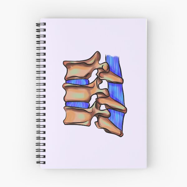 Item preview, Spine med school l physiotherapy l medical student designed and sold by Bossin.