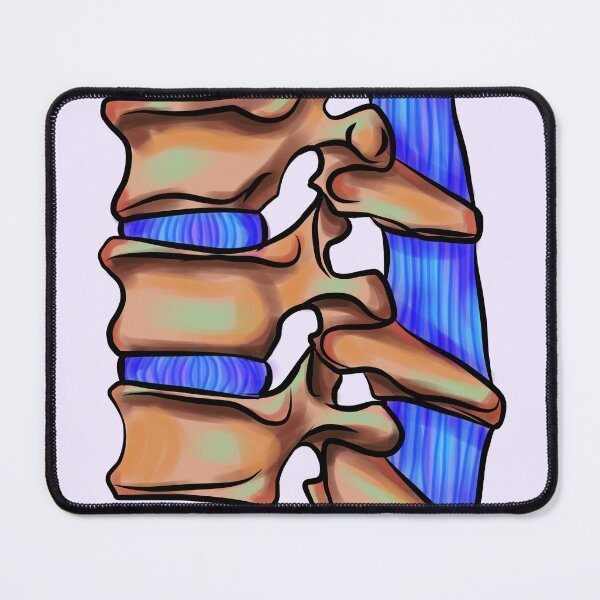 Item preview, Spine med school l physiotherapy l medical student designed and sold by Bossin.