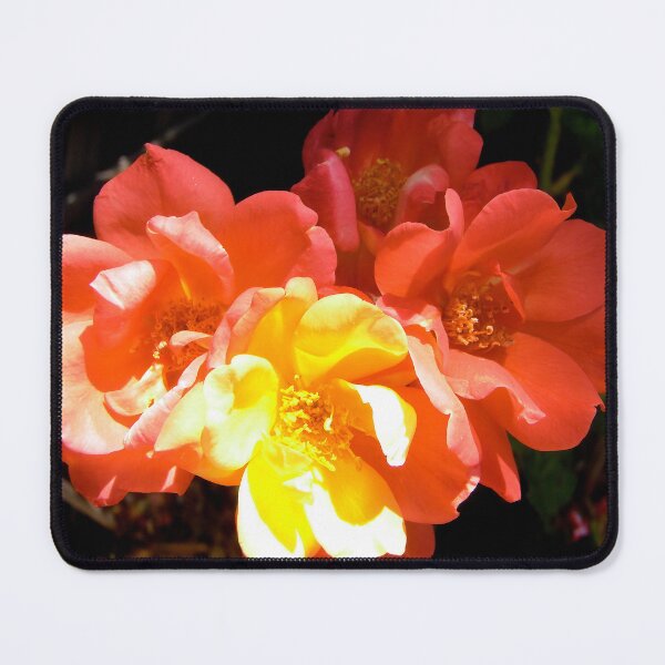Item preview, Orange Roses designed and sold by Shulie1.