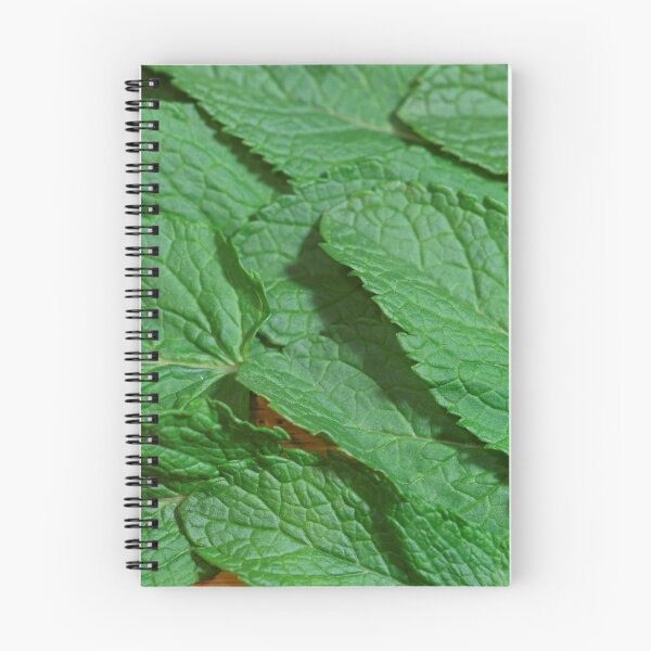 Item preview, Macro photo of mint leaves designed and sold by Zosimus.