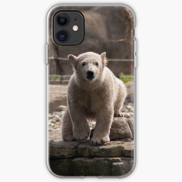 Baby polar bear iPhone Soft Case