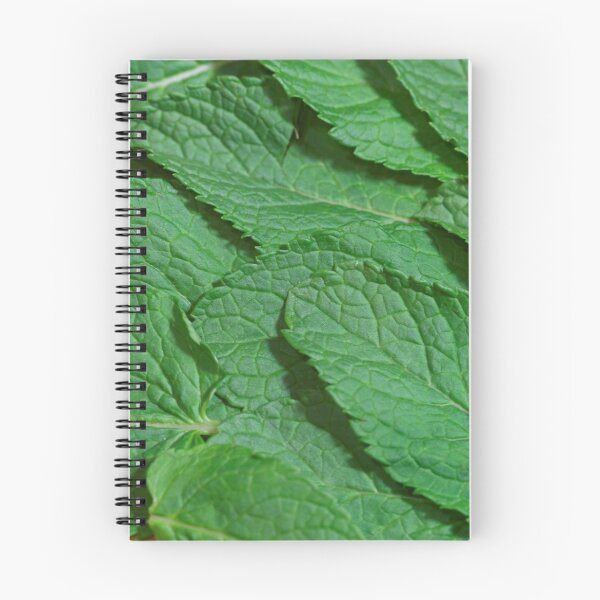 Item preview, Macro photo of mint leaves designed and sold by Zosimus.