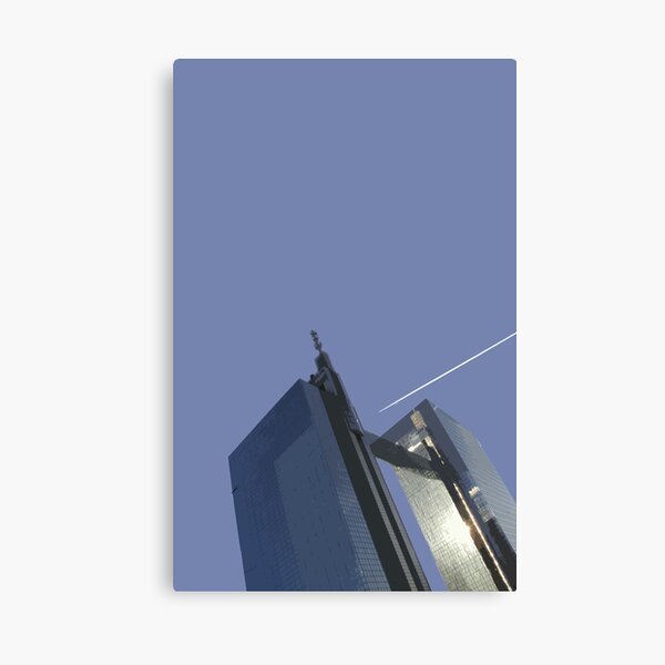 soar 2 Canvas Print