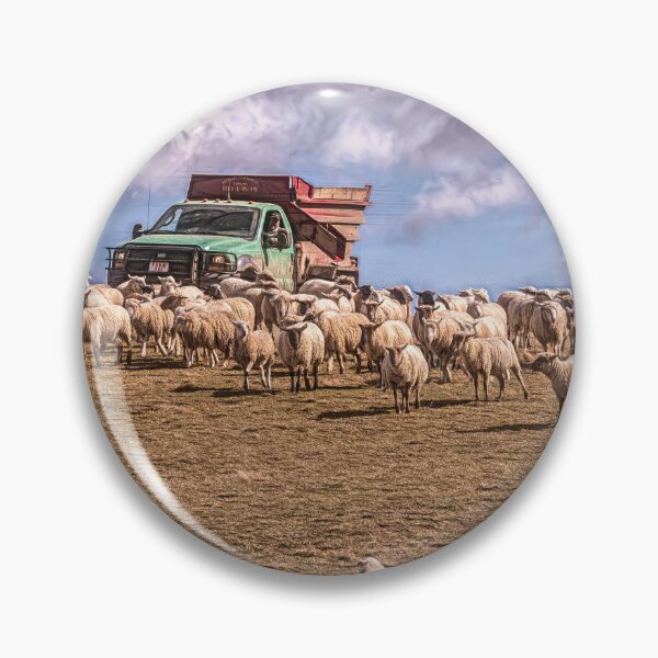 Item preview, The Running Of The Wool designed and sold by Jim Love.
