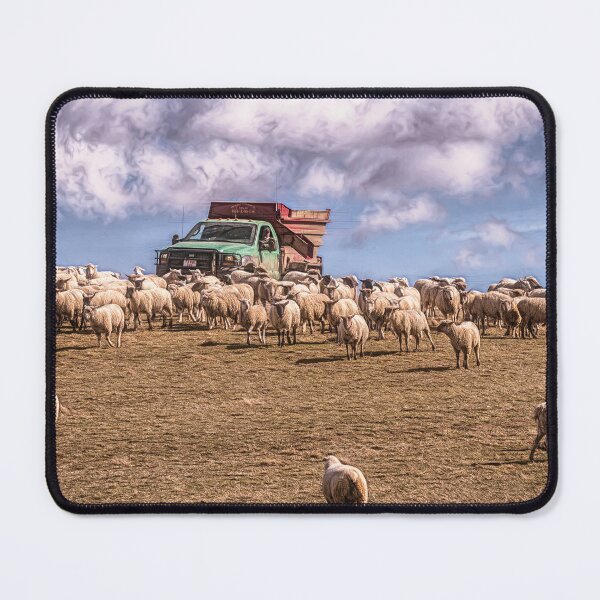 Item preview, The Running Of The Wool designed and sold by Jim Love.