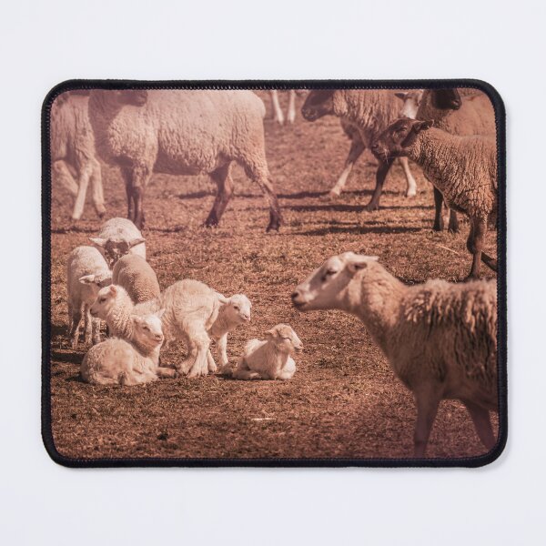 Item preview, Lambs designed and sold by Jim Love.