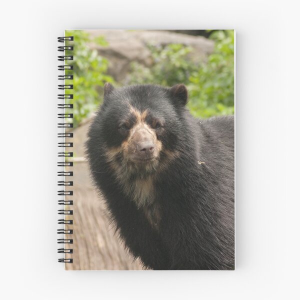 Item preview, Spectacled bear designed and sold by lucyschagen.