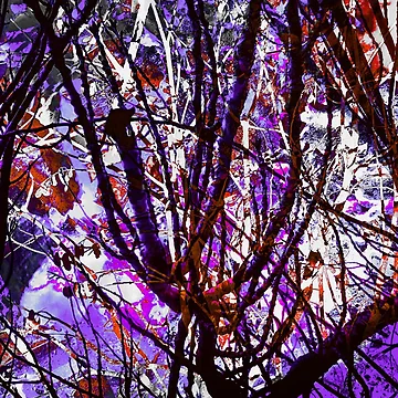 Artwork thumbnail, Dancing Tree by Liz Bajo Designs