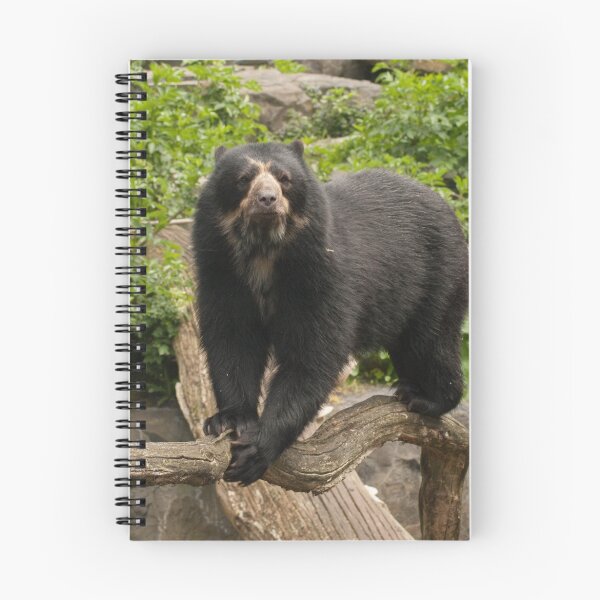 Item preview, Spectacled bear designed and sold by lucyschagen.