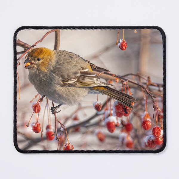 Item preview, Winter Berries designed and sold by Eunice Gibb.