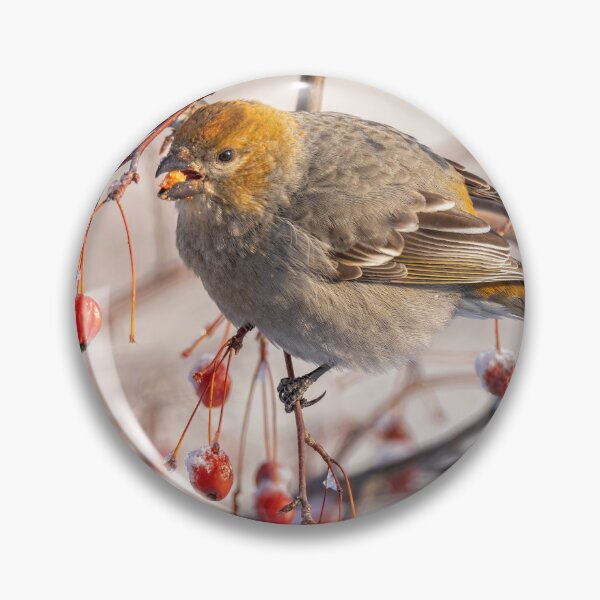 Item preview, Winter Berries designed and sold by Eunice Gibb.