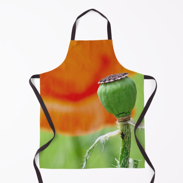 Item preview, Poppy Seed Pod No Petals designed and sold by DesignMore21.