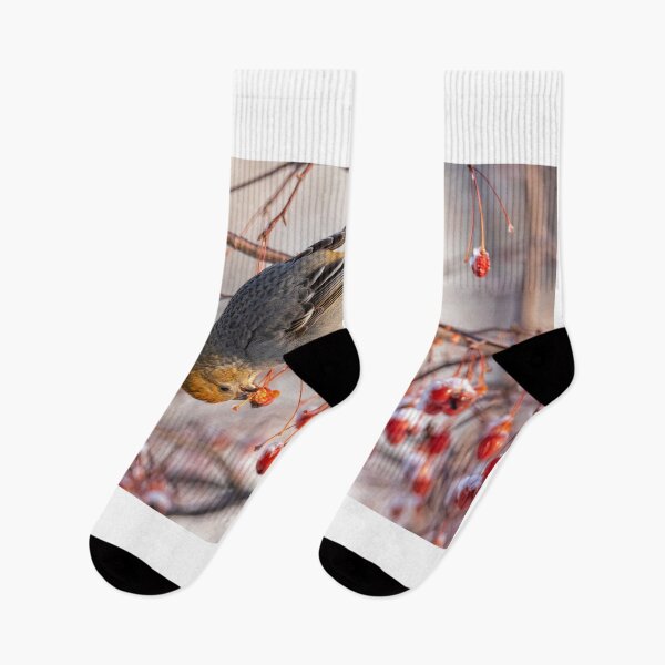 Item preview, Grosbeak designed and sold by Eunice Gibb.