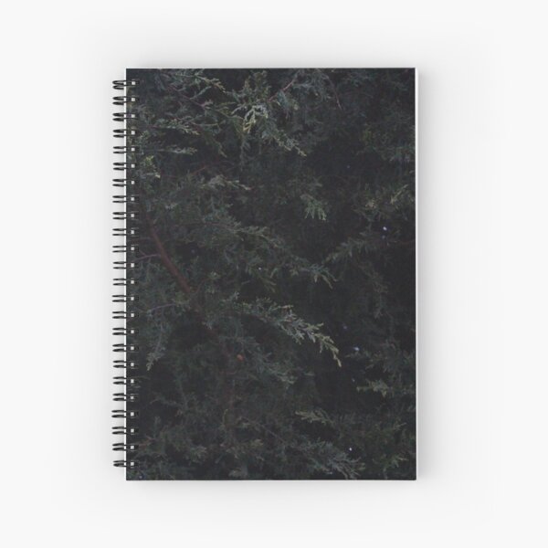 forest Spiral Notebook